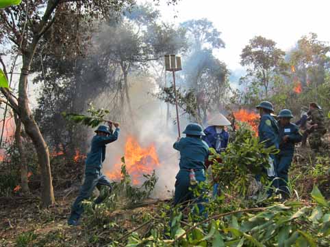 Bắc Giang: Diễn tập phòng cháy, chữa cháy rừng năm 2014