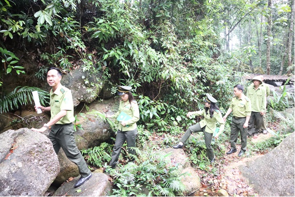 Kiểm lâm Bắc Giang tăng cường công tác bảo vệ rừng
