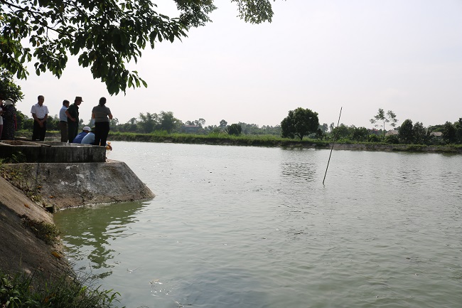 Tân Yên: Làm giàu từ nghề nuôi cá