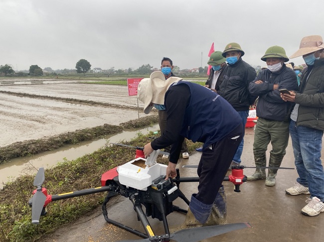 Tân Yên: Ứng dụng cơ giới hóa khép kín gắn với công nghệ số trong sản xuất lúa vụ Chiêm Xuân