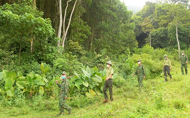 Huyện Yên Thế: Tập trung thực hiện tốt công tác bảo vệ rừng