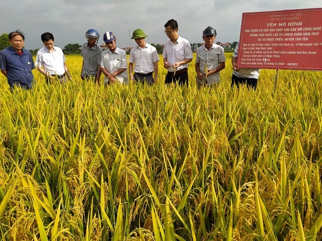 Tân Yên: Tổng kết mô hình Ứng dụng cơ giới hóa khép kín gắn với công nghệ số trong sản xuất lúa...