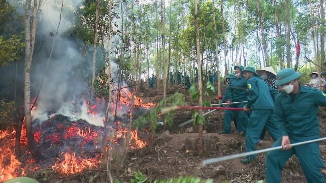 Huyện Yên Dũng diễn tập chữa cháy rừng