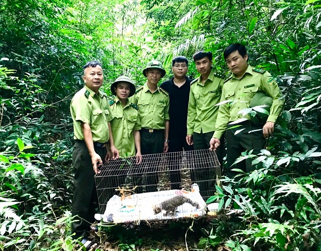 Bắc Giang: Thả cá thể Cu li nhỏ về rừng tự nhiên Tây Yên Tử, huyện Sơn Động