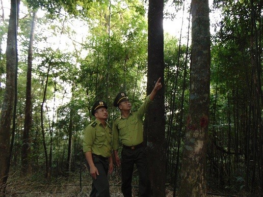 Tăng cường công tác quản lý nhà nước về đất lâm nghiệp trên địa bàn tỉnh Bắc Giang
