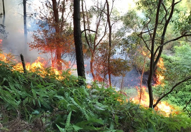 Bắc Giang: Kiểm tra công tác Phòng cháy, Chữa cháy rừng  mùa khô 2022-2023 tại huyện Việt Yên