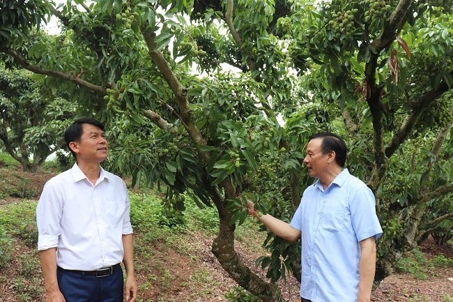Bắc Giang: Khuyến khích nhân rộng mô hình nông nghiệp tích hợp đa giá trị