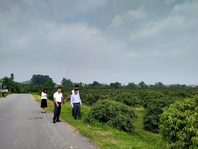 Huyện Lục Nam: 03 xã cuối cùng của huyện gấp rút về đích nông thôn mới