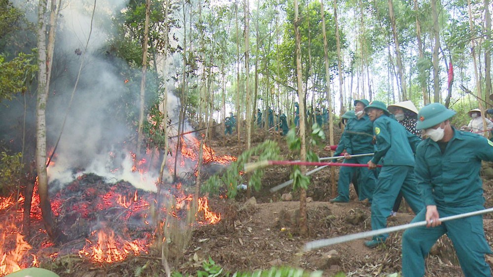 Sở Nông nghiệp và PTNT tỉnh Bắc Giang triển khai các biện pháp cấp bách phòng cháy, chữa cháy rừng