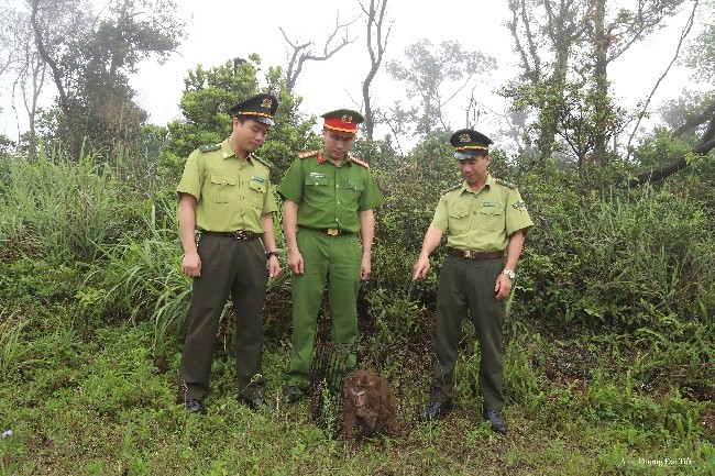 Bắc Giang: Thả động vật rừng về tự nhiên