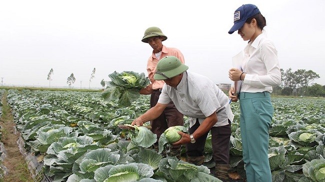 Bắc Giang: Hỗ trợ đưa 13 lao động trẻ về làm việc tại các Hợp tác xã nông nghiệp