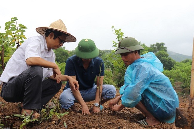 TT Khuyến nông: Phát triển bền vững cây ăn quả đặc sản, chủ lực