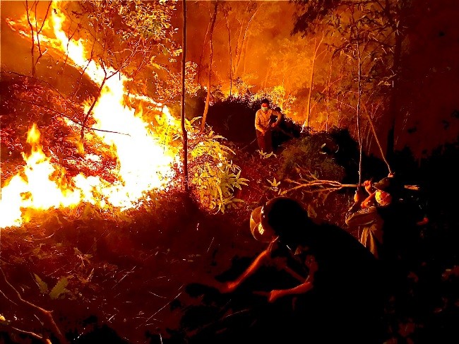 Bắc Giang: Triển khai công tác phòng cháy, chữa cháy rừng mùa khô 2023-2024