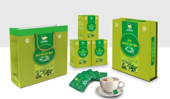 Tân Yên: Ứng dụng chế phẩm sinh học trong sản xuất và chế biến thử nghiệm trà ổi túi lọc từ búp ổi