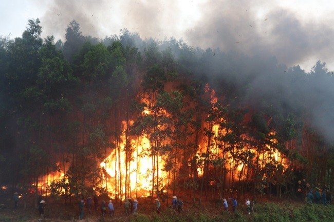Sơn Động: Diễn tập phòng cháy chữa cháy rừng năm 2023