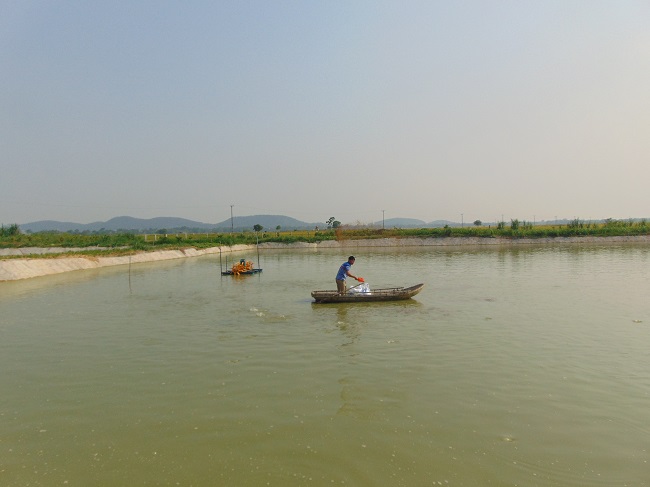 Tân Yên: Gía trị sản xuất thủy sản đạt 385 tỷ đồng