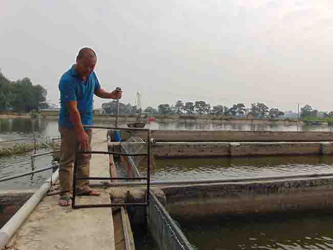 Bắc Giang: Nuôi thủy sản theo cách mới – “Sông trong ao”