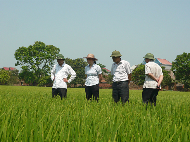 Tỉnh Bắc Giang phân bổ nguồn vốn Chương trình nông thôn mới năm 2017 thực hiện mô hình phát triển...