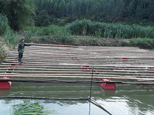 Lục Nam: Mô hình nuôi giun quế kết hợp thủy sản, nuôi trai lấy ngọc