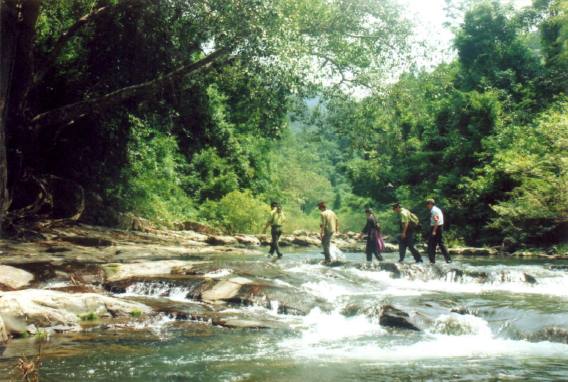 Bắc Giang: Tăng cường lực lượng “bảo vệ rừng tại gốc”