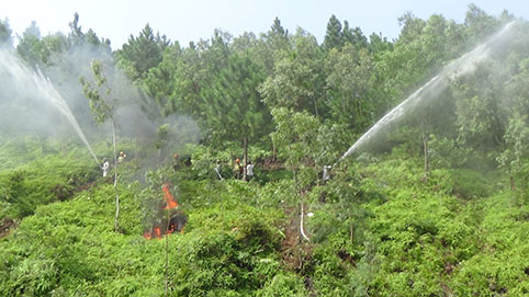 Sở Nông nghiệp và PTNT: Tăng cường công tác phòng cháy, chữa cháy rừng mùa khô 2016-2017