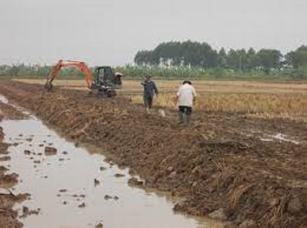 Hiệp Hòa: Công tác dồn điền đổi thửa, xây dựng nông thôn mới đạt kết quả tốt  
