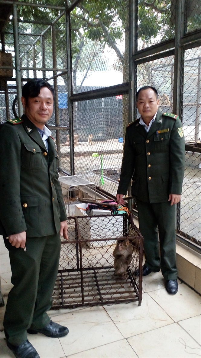 Bắc Giang chuyển giao, cứu hộ động vật rừng quý, hiếm  cho Trung tâm Cứu hộ động vật hoang dã Hà Nội