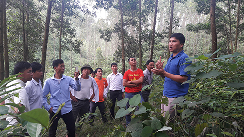 Tập huấn nhân rộng mô hình trồng rừng và chuyển hóa rừng thâm canh gỗ lớn