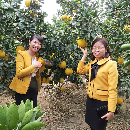 Tỉnh Bắc Giang hoàn thành vượt kế hoạch xây dựng nông thôn mới năm 2016