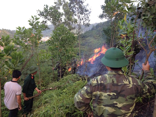 Cháy rừng tại xã Đồng Sơn, thành phố Bắc Giang