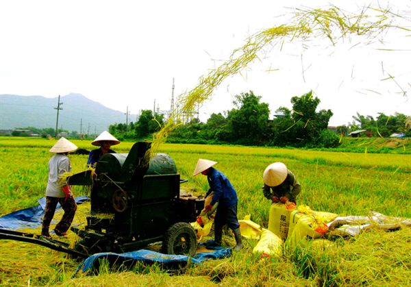 Hiệu quả từ công tác dân vận  trong xây dựng nông thôn mới trên địa bàn tỉnh Bắc Giang
