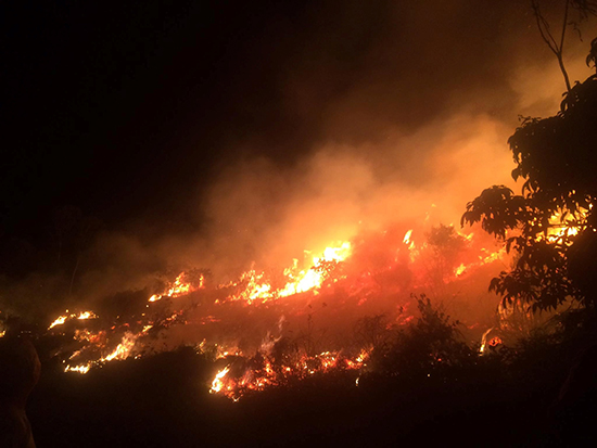 Cháy rừng tại xã Tuấn Mậu, thành phố Bắc Giang