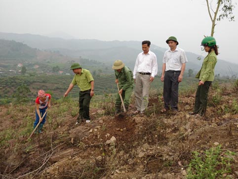 Ban Quản lý rừng phòng hộ Cấm Sơn tập trung công tác trồng rừng năm 2016