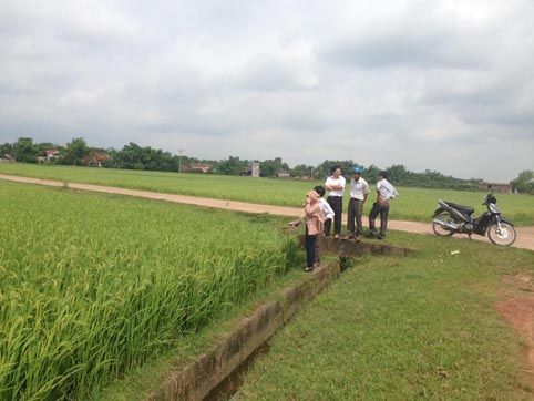 Công tác nghiệm thu cánh đồng mẫu tại huyện Lạng Giang