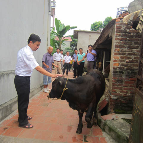 Bắc Giang: Phó Giám đốc Sở Nông nghiệp và PTNT Dương Thanh Tùng tham quan mô hình khuyến nông