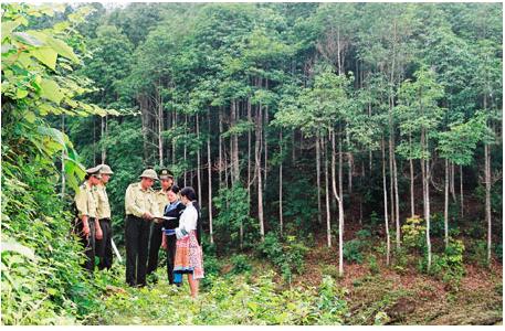 Công bố hiện trạng rừng tỉnh Bắc Giang năm 2013