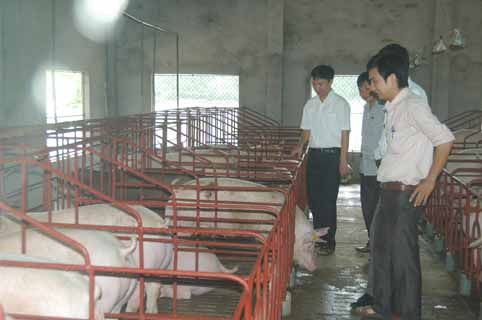 Phó Giám đốc Sở Nông nghiệp và PTNT Bắc Giang kiểm tra thực hiện tháng vệ sinh tiêu độc khử trùng...