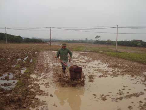 Bắc Giang: Kế hoạch gieo trồng vụ Chiêm xuân năm 2014 - 2015