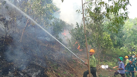 “Yên Dũng: Diễn tập phòng cháy, chữa cháy rừng năm 2016”